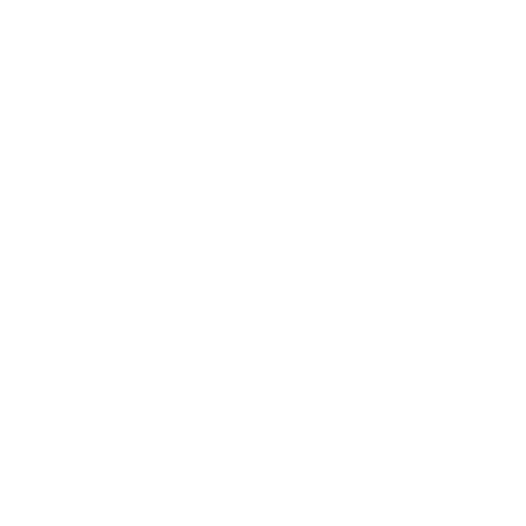 Type Animation