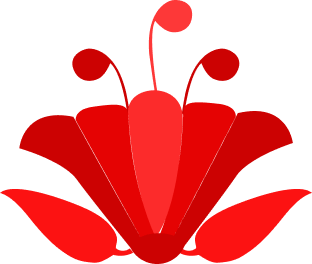 Cap Image